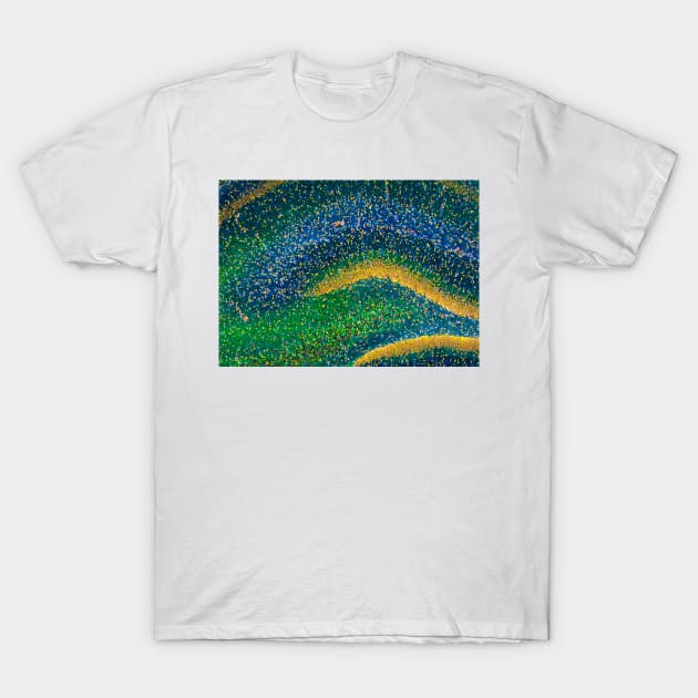 Hippocampus brain tissue (C009/5824) T-Shirt by SciencePhoto